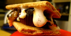 Peanut Butter Cup Smores