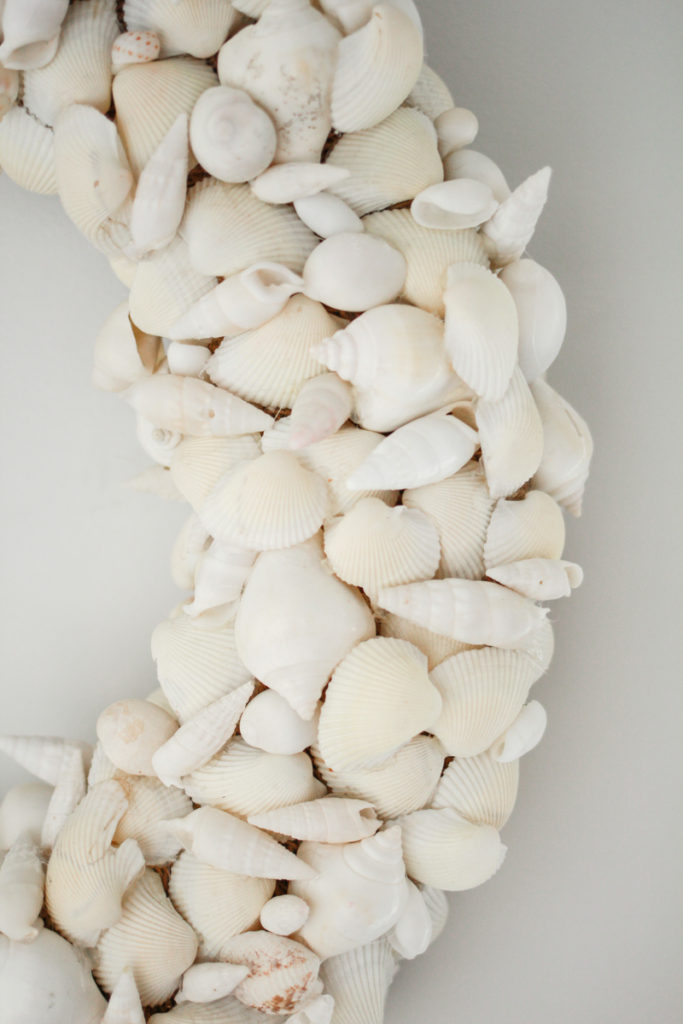 Sea Shell Wreath