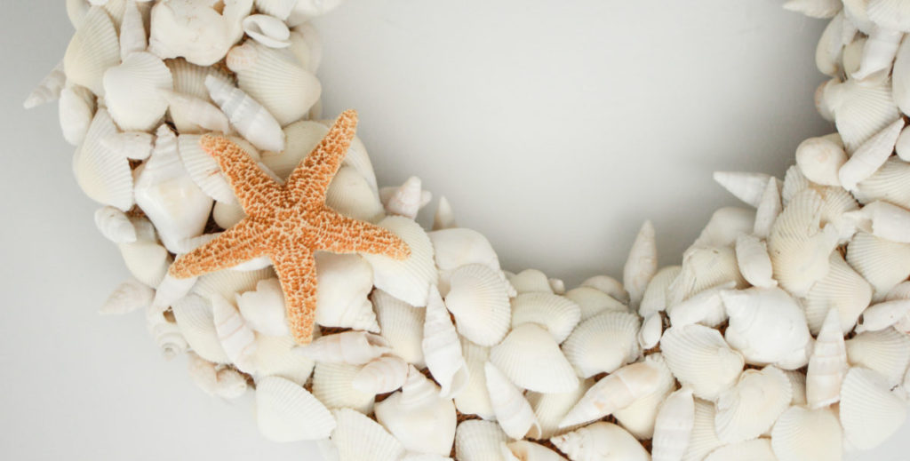 Sea Shell Wreath