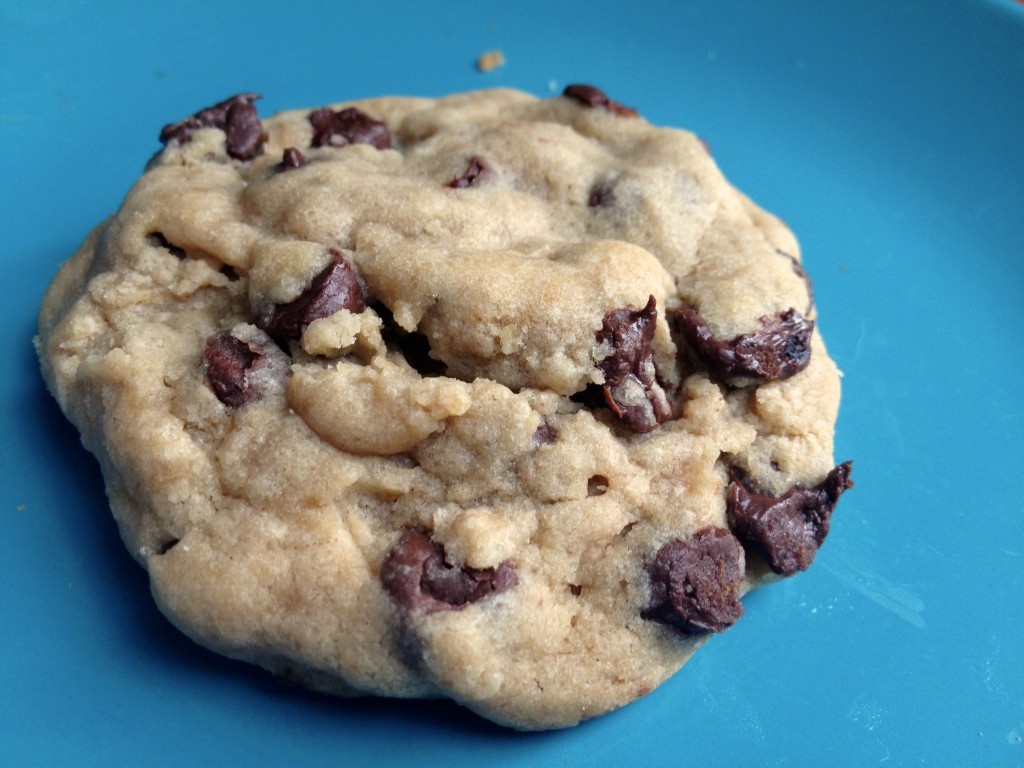 chewy chocolate chip cookies