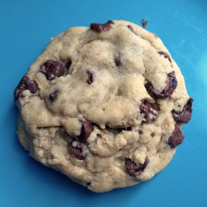 chewy chocolate chip cookies