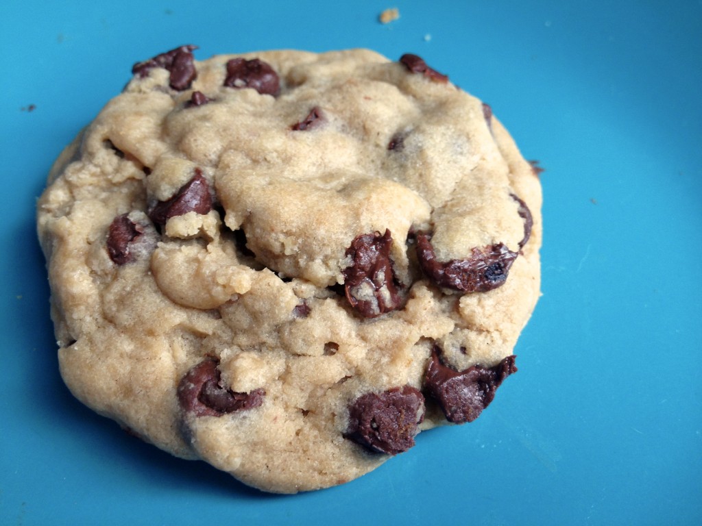 chewy chocolate chip cookies