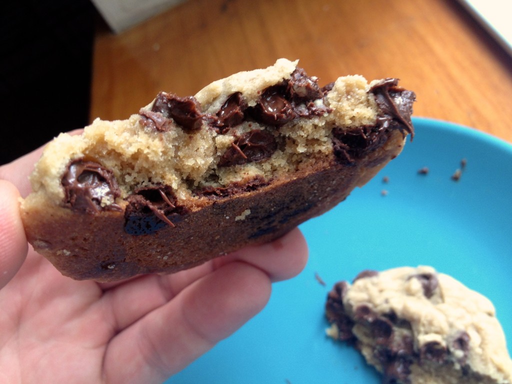 Chewy Chocolate Chip Cookies