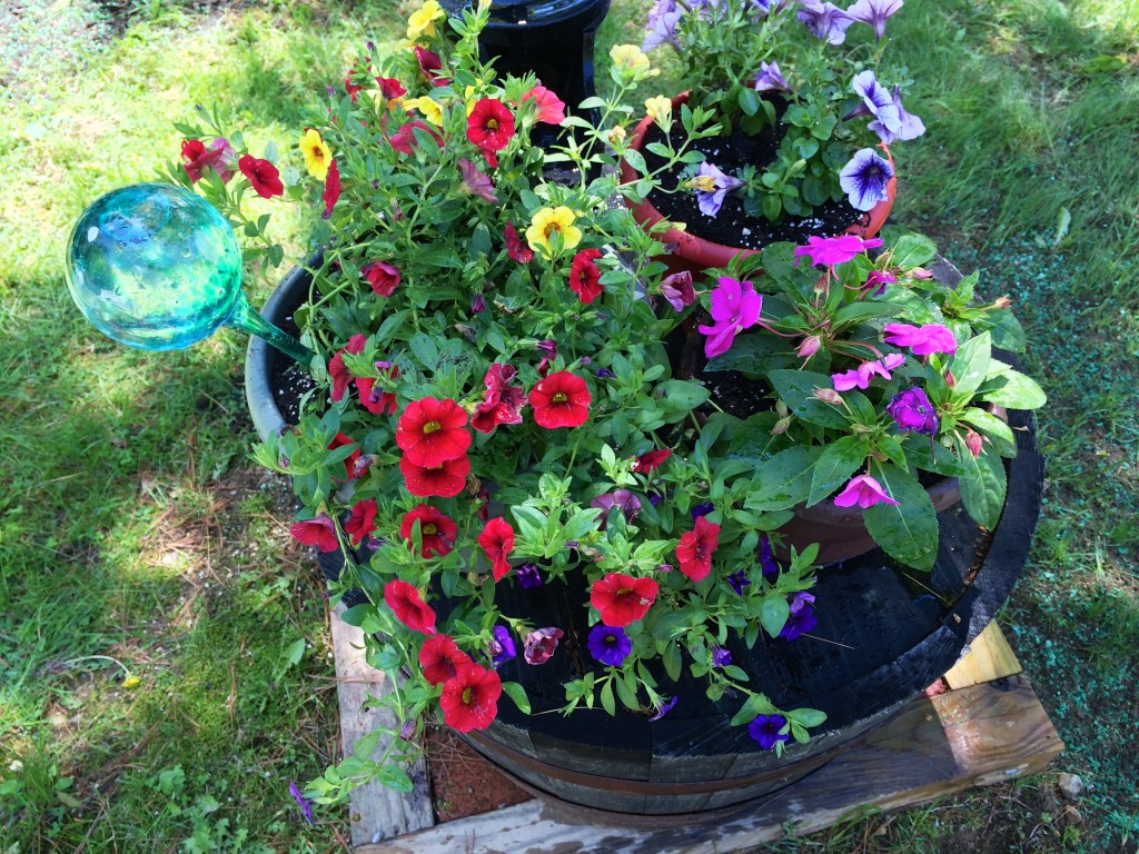 Beautifying the lake house landscape.