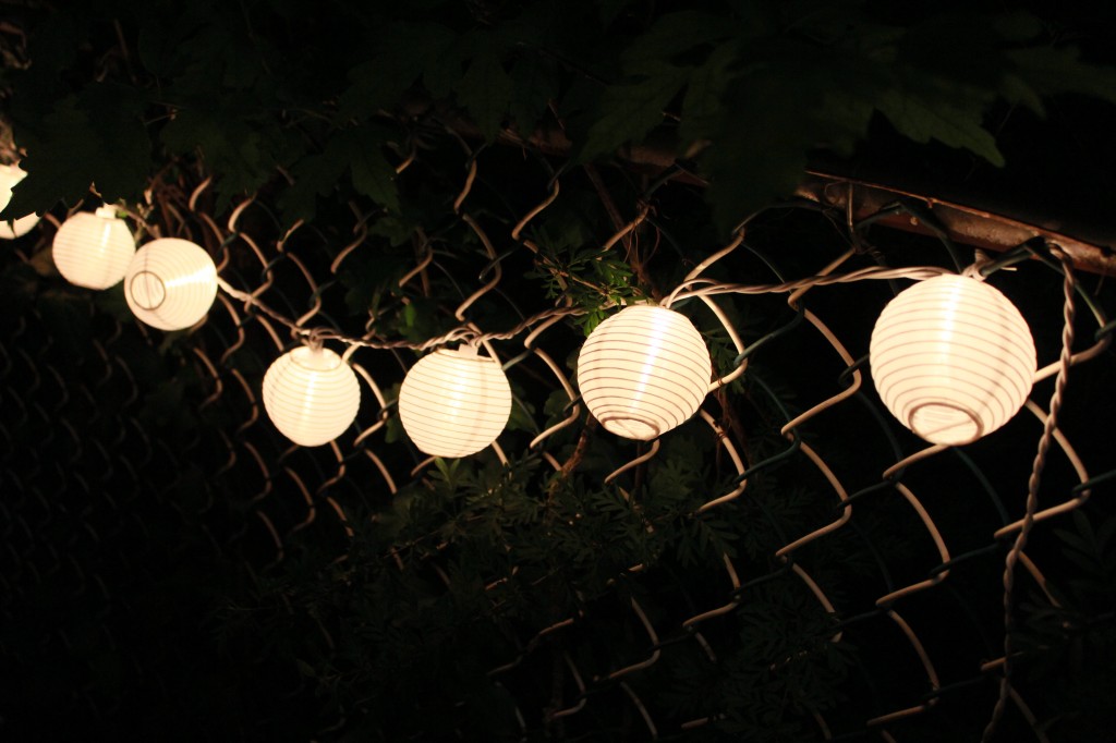 Hanging Lights