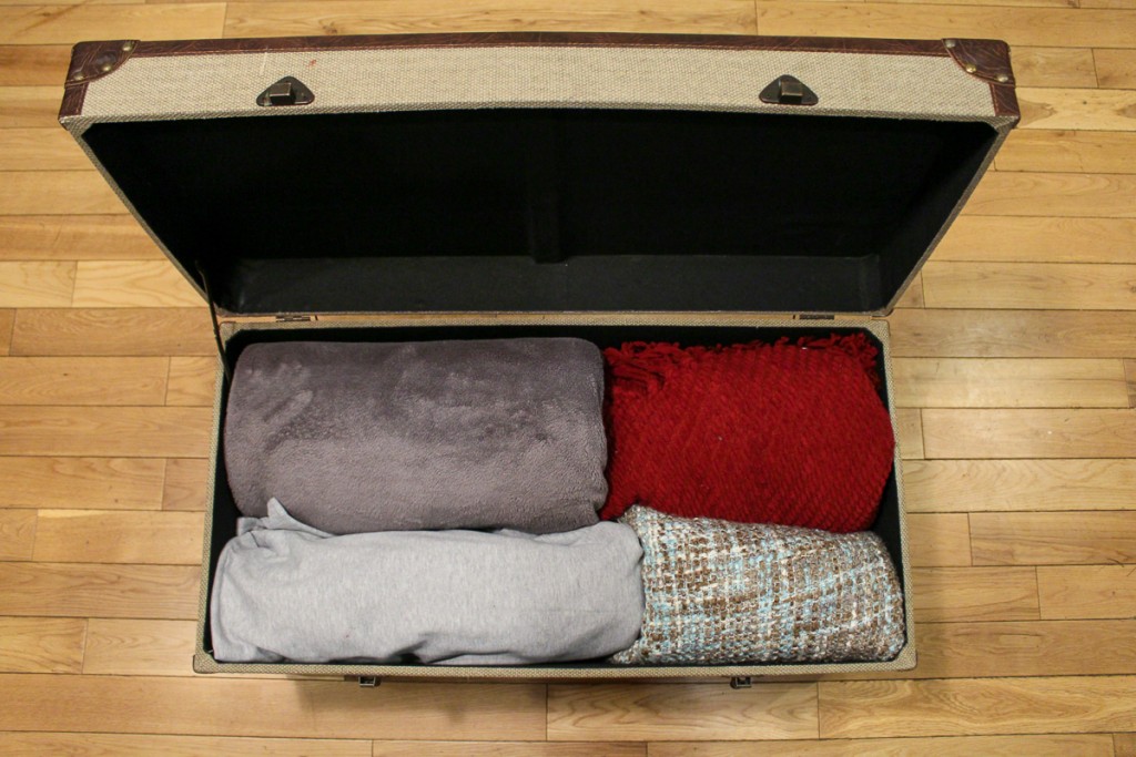 Storage Trunk