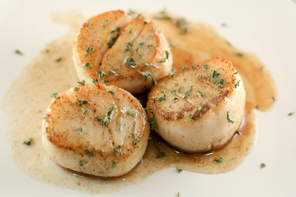 Seared Scallops