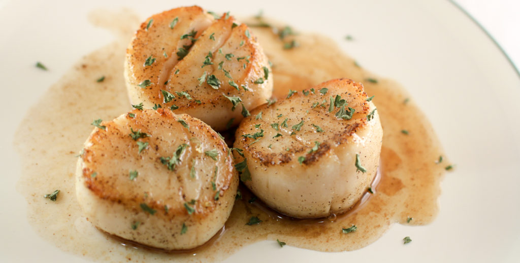 Seared Scallops