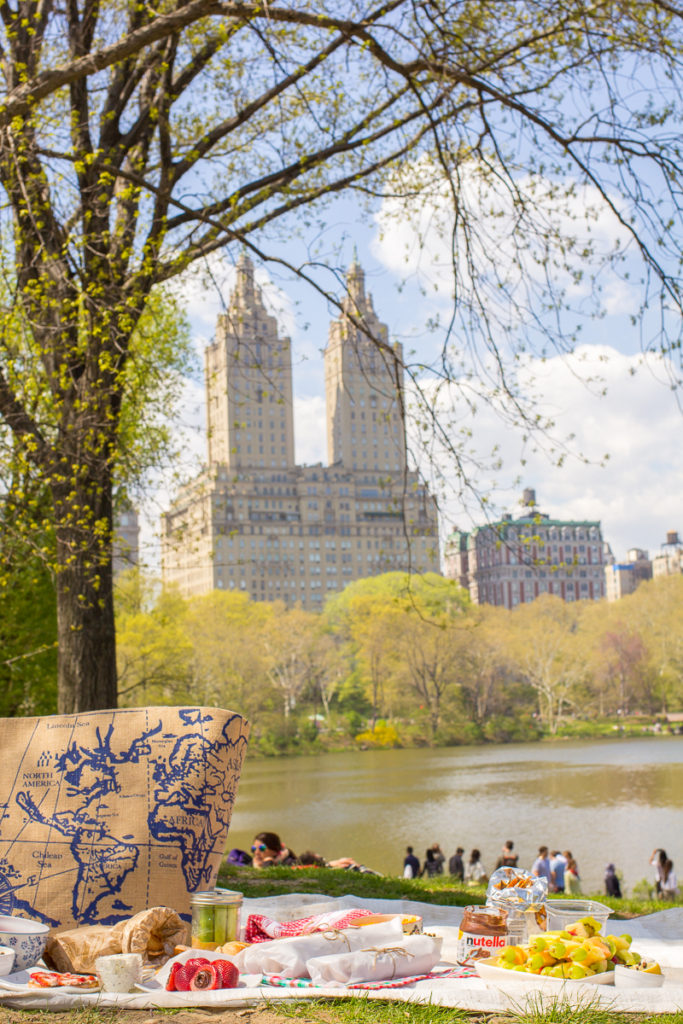 Central Park Picnic