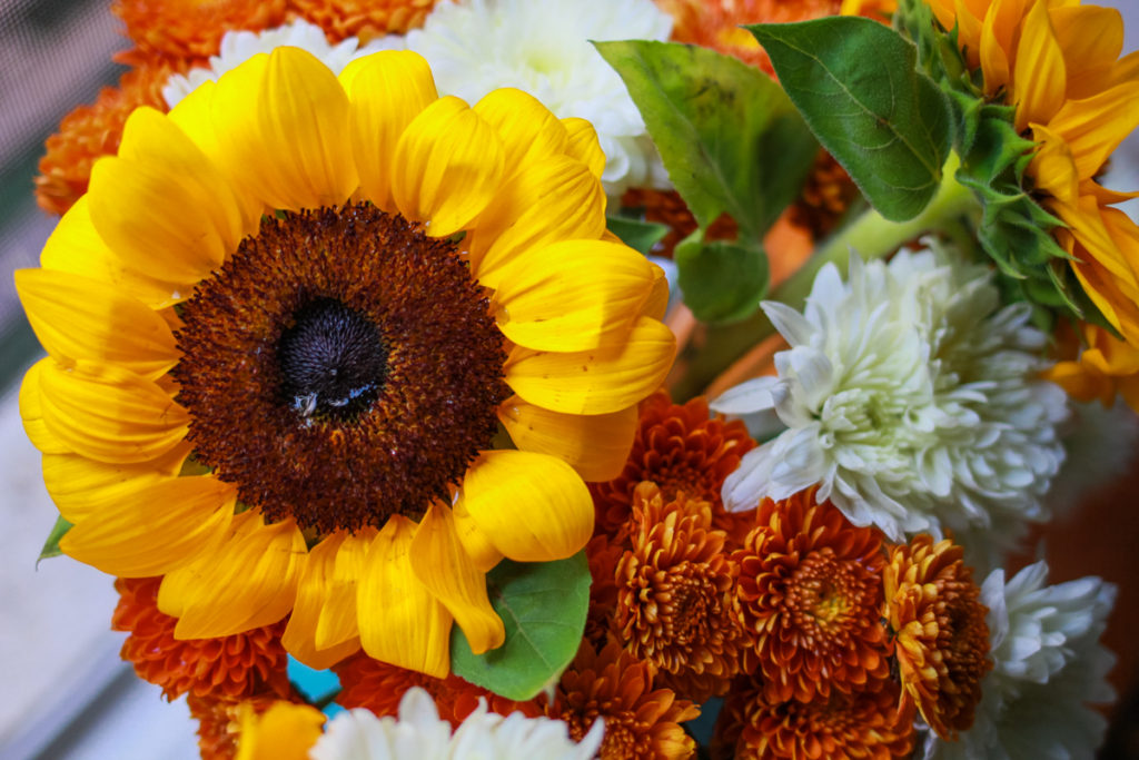 Fall Flowers