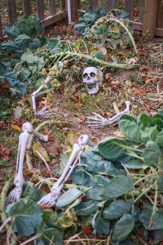 Skeletons among the brussel sprouts