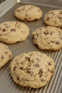 Mrs. Fields Knockoff Chocolate Chip Cookies