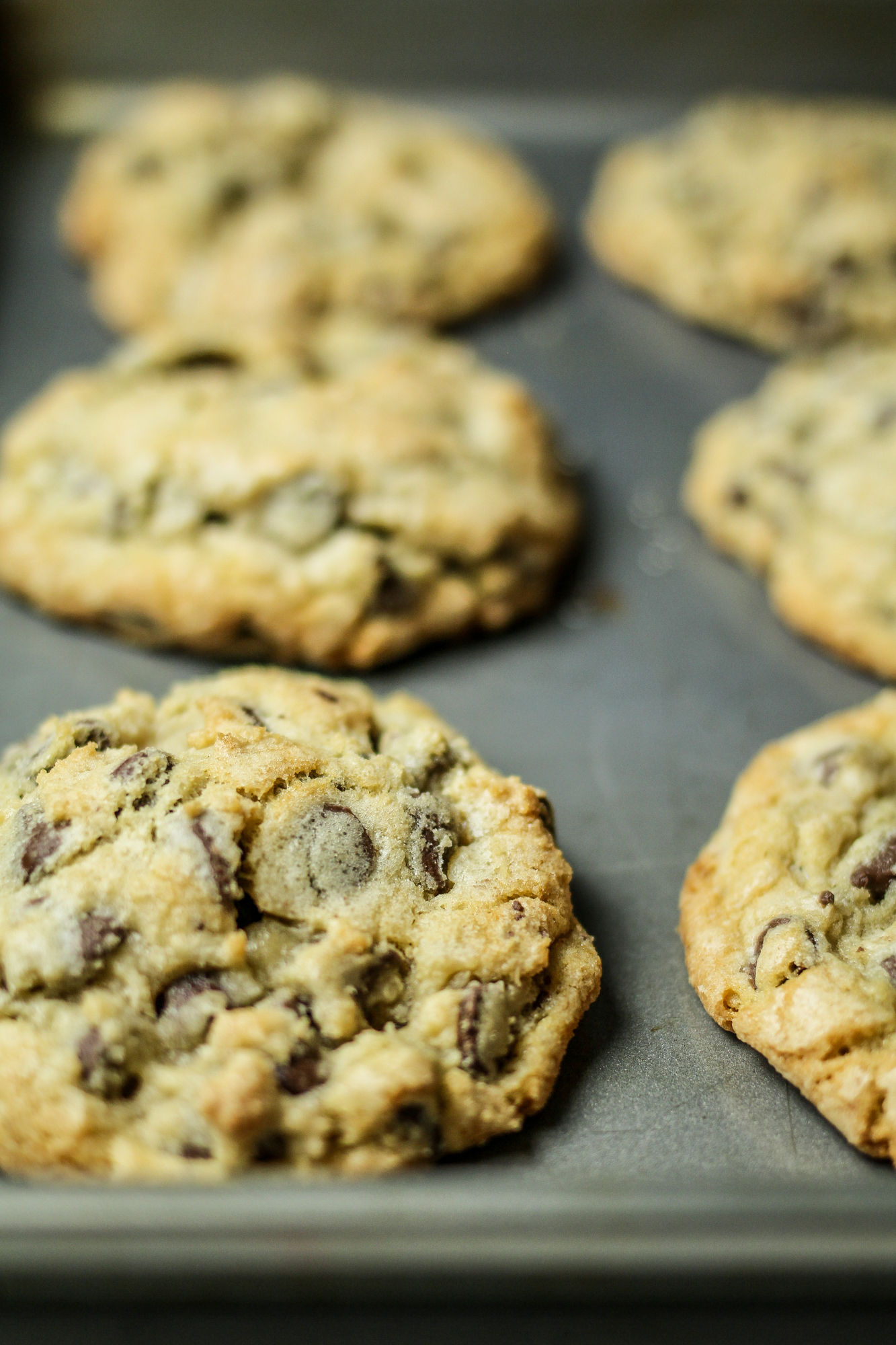 Mrs. Fields Knockoff Chocolate Chip Cookies