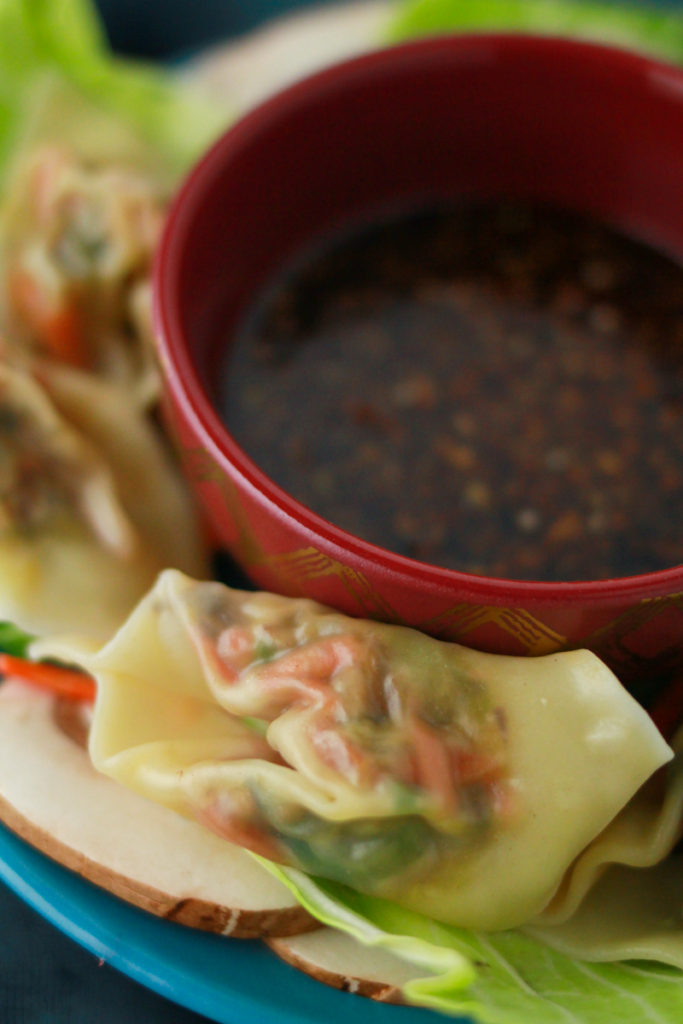 Vegetable Dumplings