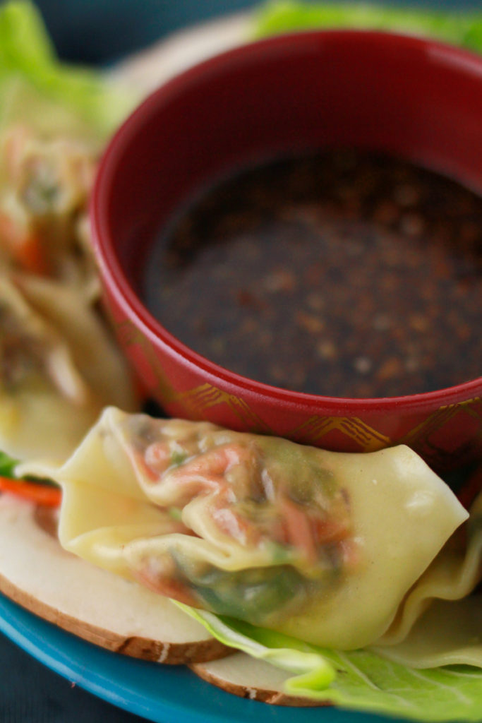 Vegetable Dumplings