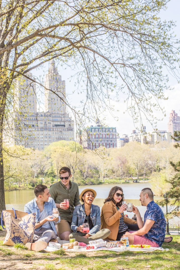 Picnic in Central Park, New York City