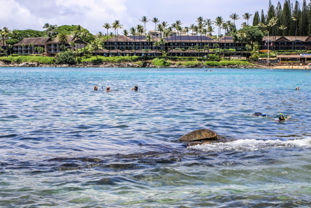 Ultimate Guide to Maui