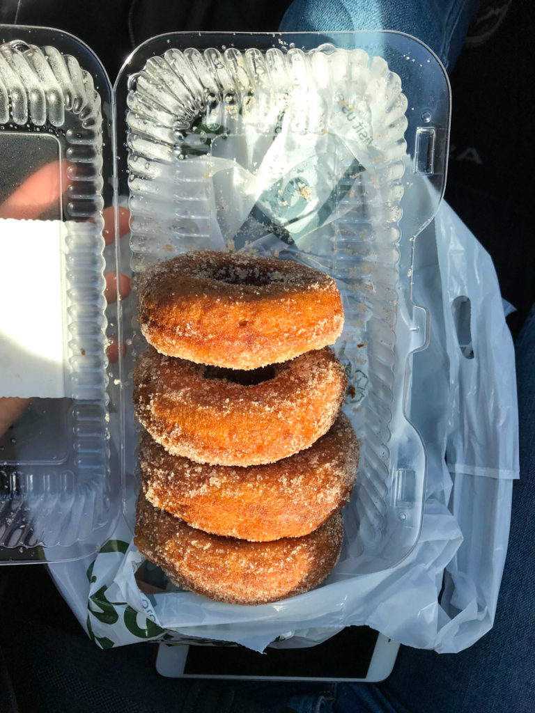 Apple Cider Donuts