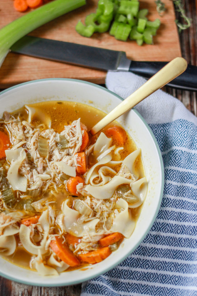 Rotochick Chicken Noodle Soup