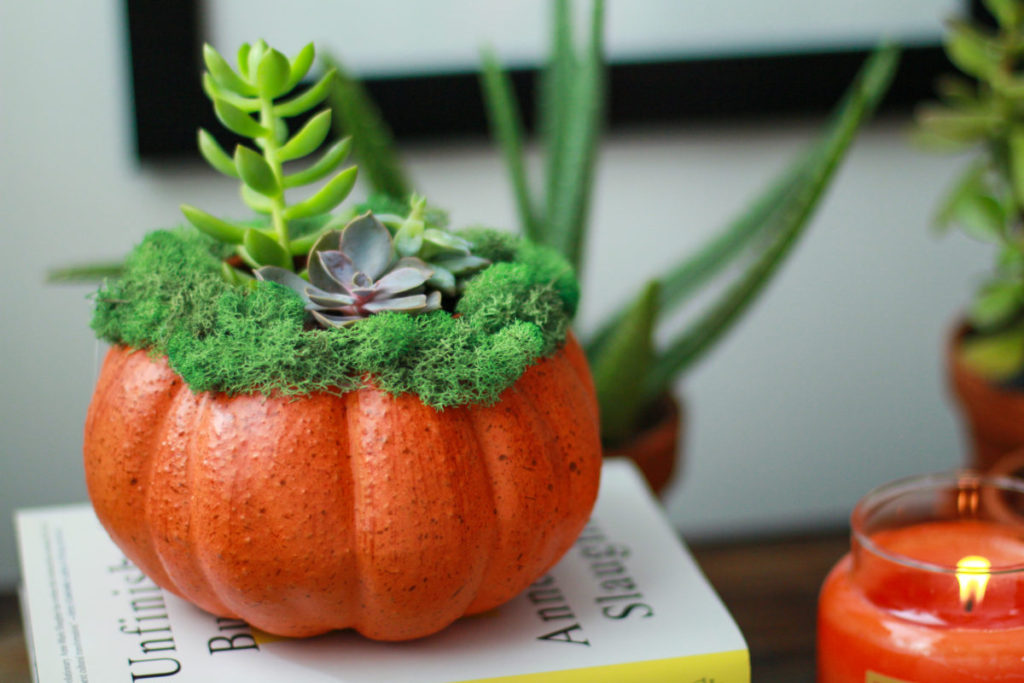 Pumpkin Succulent Centerpieces