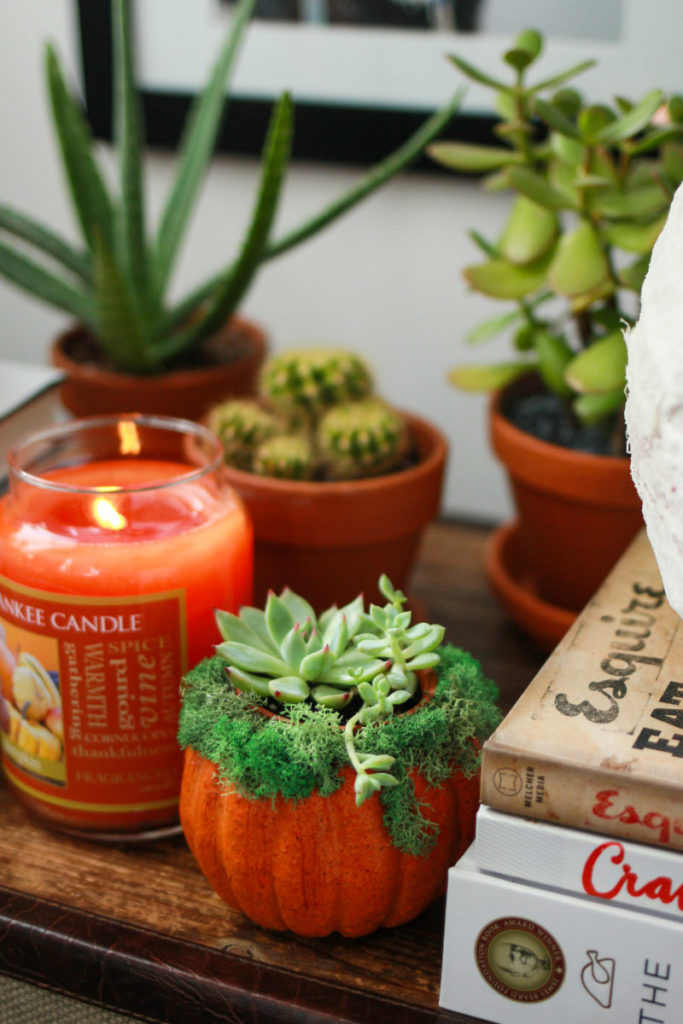 Pumpkin Succulent Centerpieces