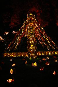 Great Jack O'Lantern Blaze