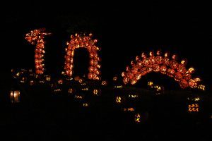 Great Jack O'Lantern Blaze