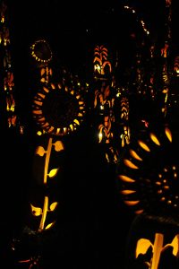 Great Jack O'Lantern Blaze