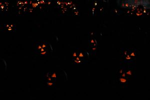 Great Jack O'Lantern Blaze