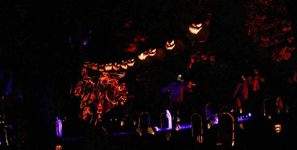 Apple Cider Donuts and Great Jack O'Lantern Blaze