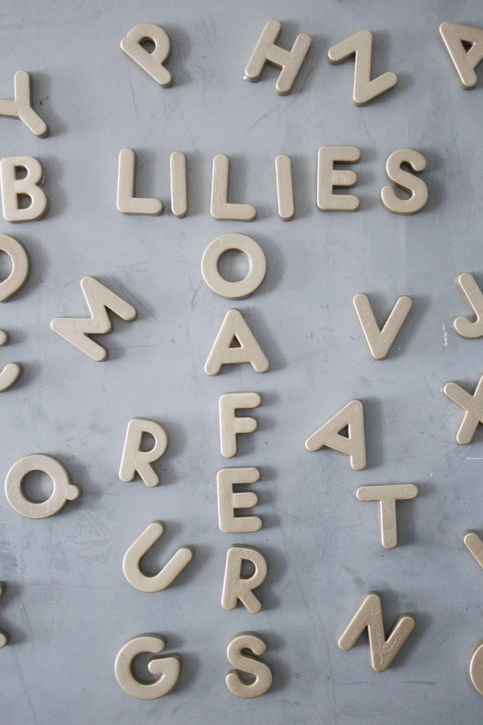 Metallic Alphabet Magnets