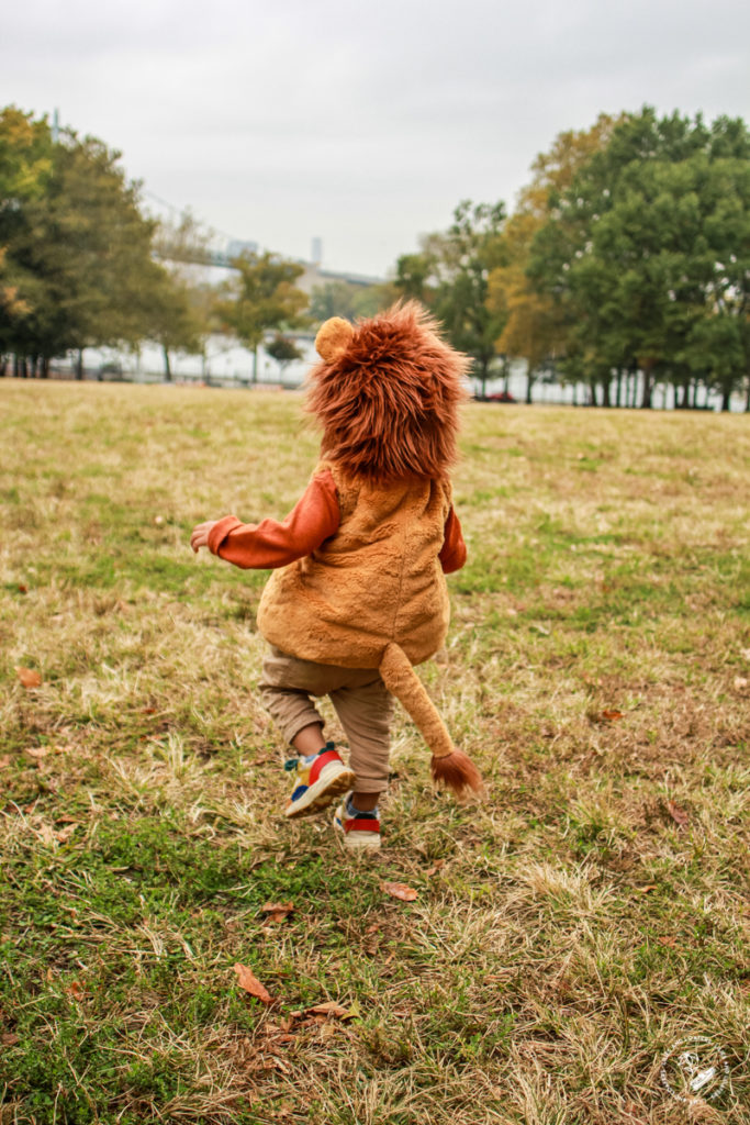 Wizard of Oz Lion Costume