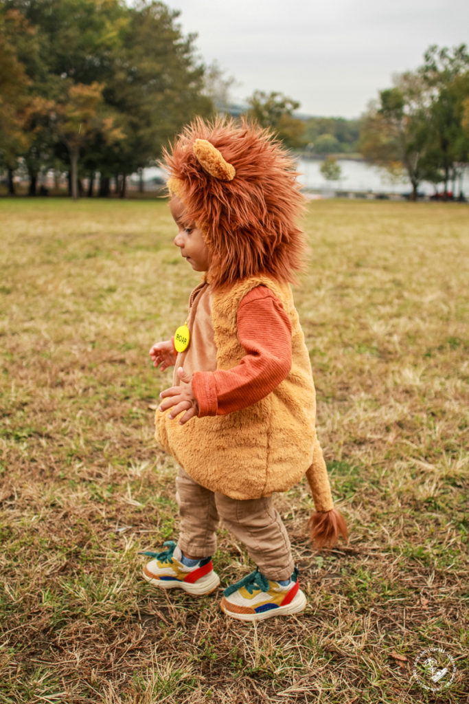 Wizard of Oz Lion Costume