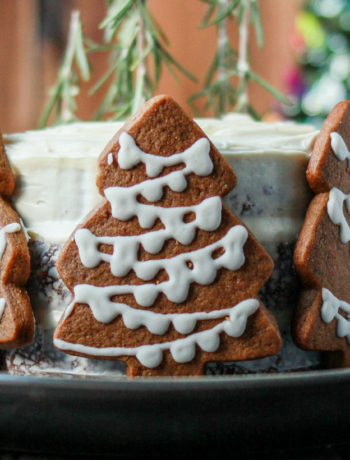 Gingerbread Cake