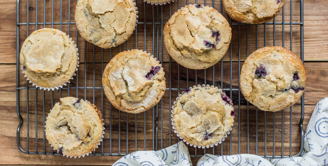 Blueberry Muffins