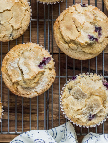 Blueberry Muffins