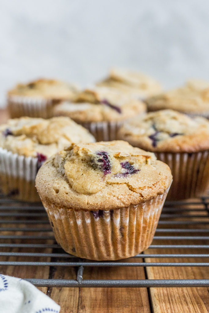 Blueberry Muffins