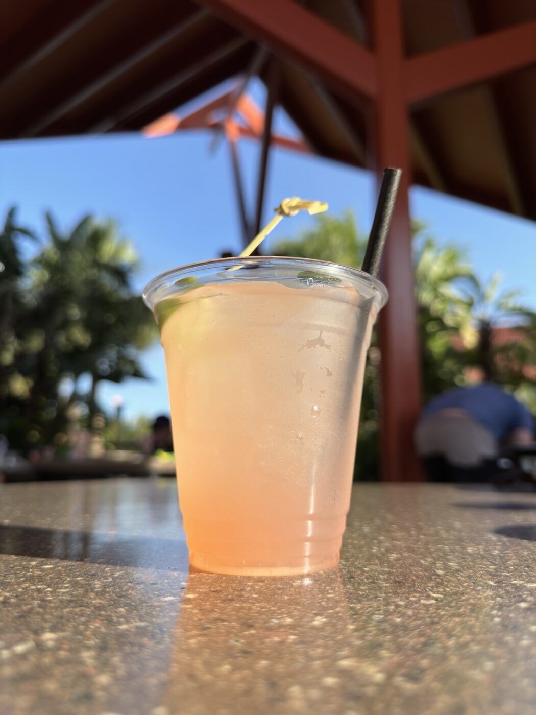 rose gold margarita at disney's polynesian resort