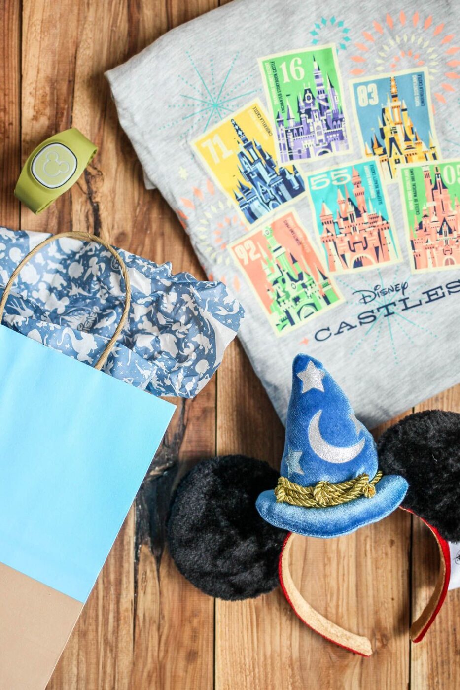 Brian Disney Vacation Goody Bag