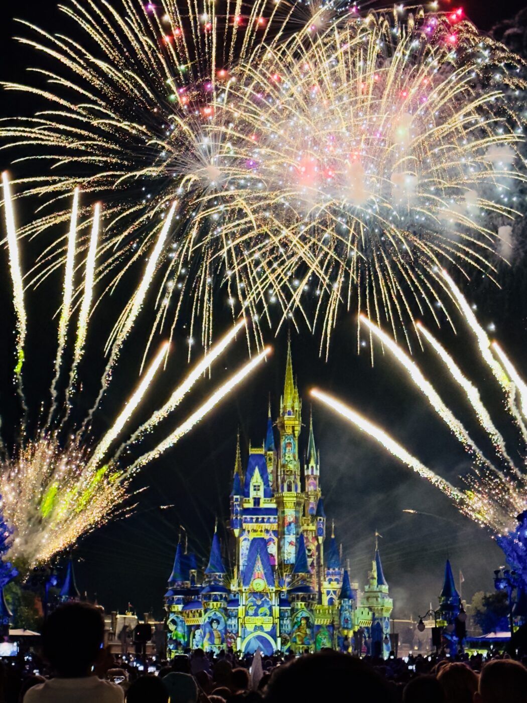 Disney Happily Ever After