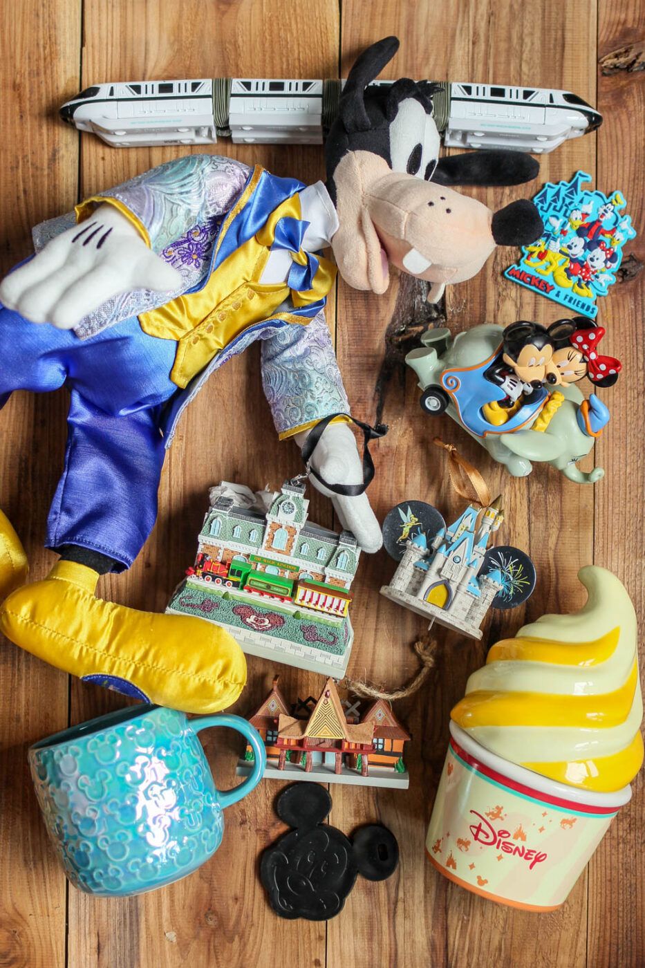 Disney Vacation Souvenirs