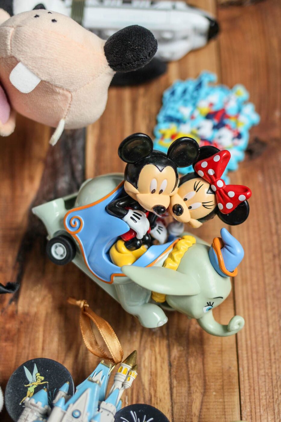 Disney Vacation Souvenirs