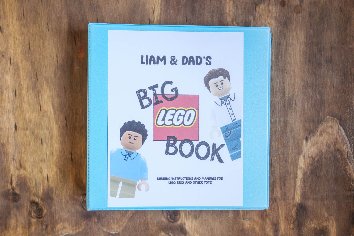 LEGO BINDER