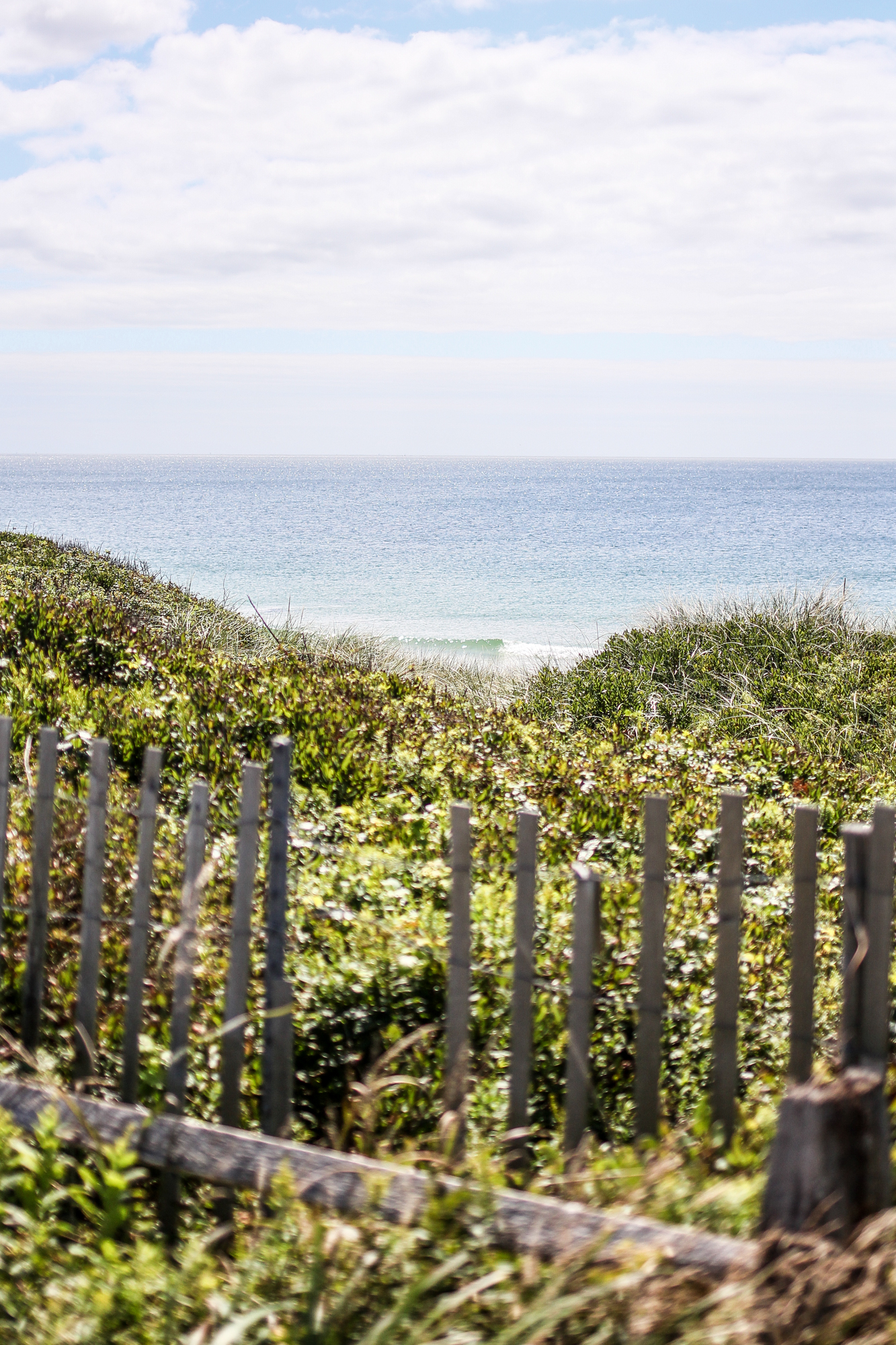 Martha's Vineyard Beach