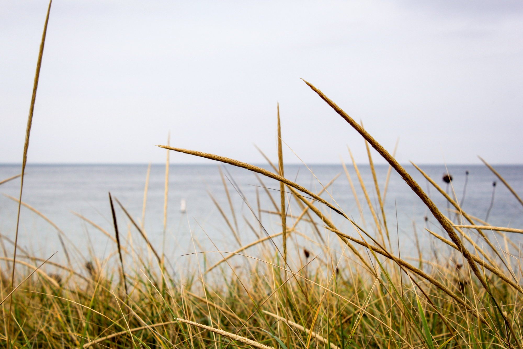 Martha's Vineyard in October