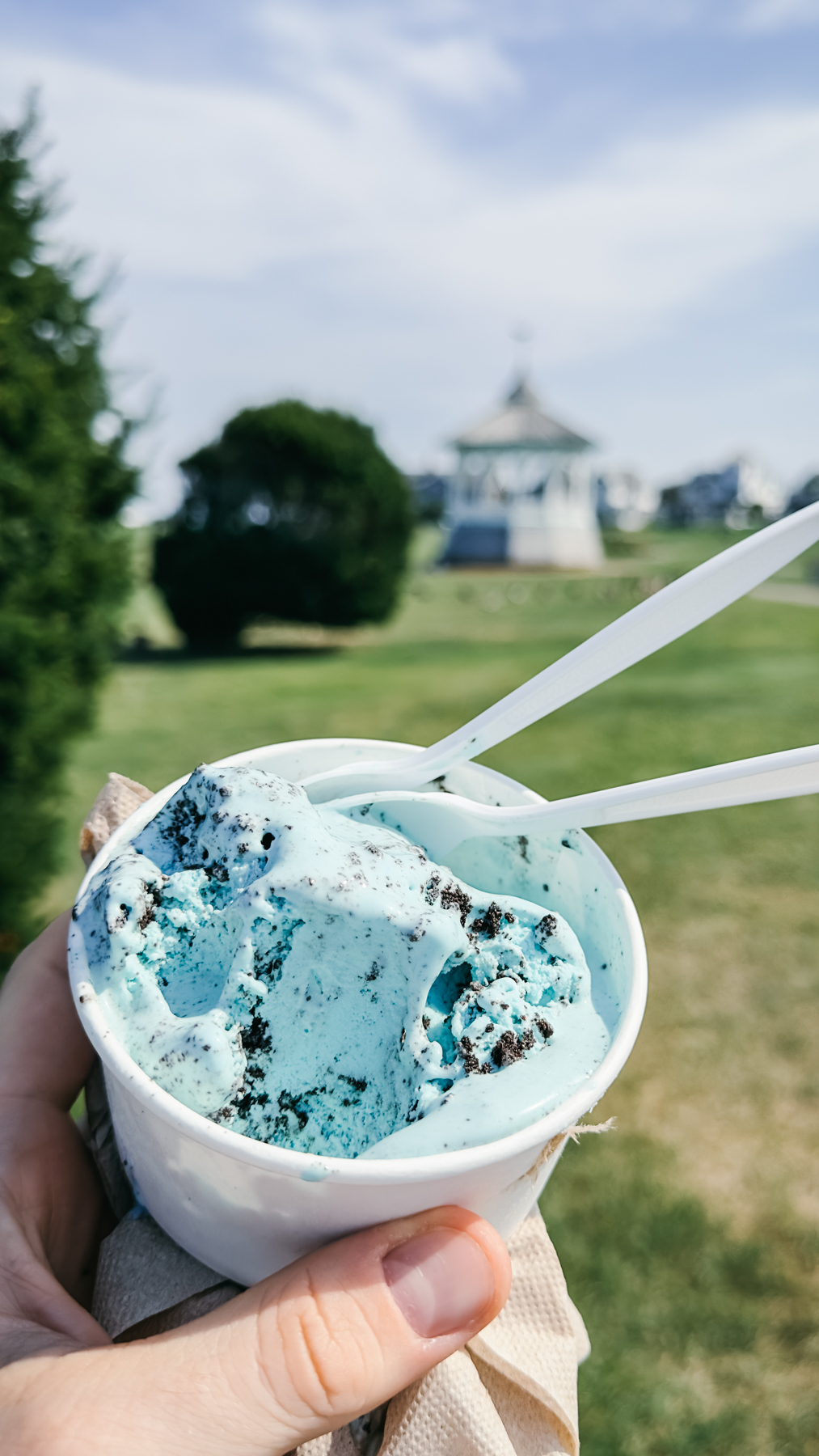 Mint Oreo Ice Cream in Oak Bluffs