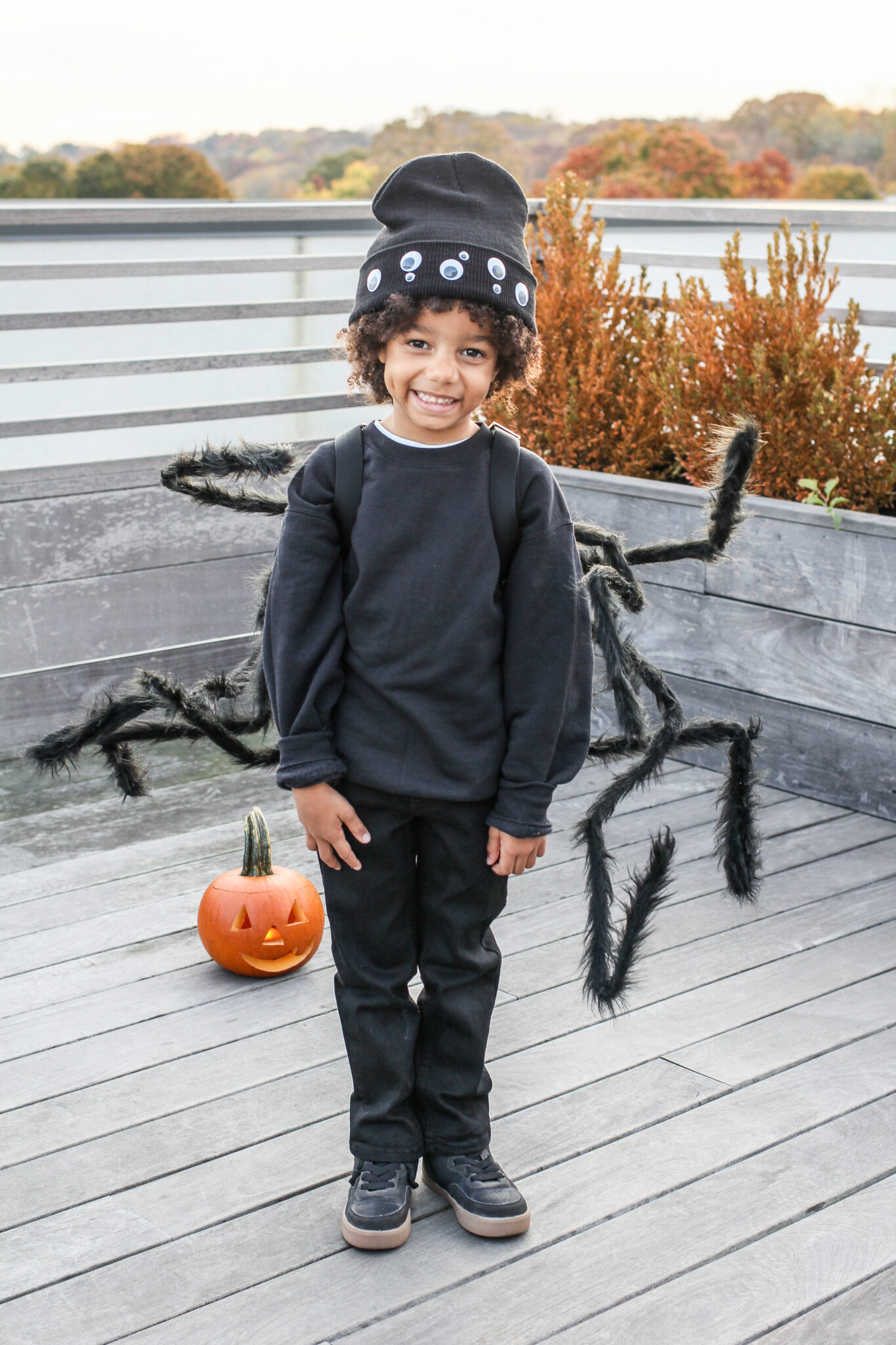 Halloween Spider