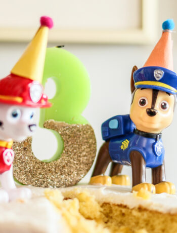 DIY Paw Patrol Cake Toppers