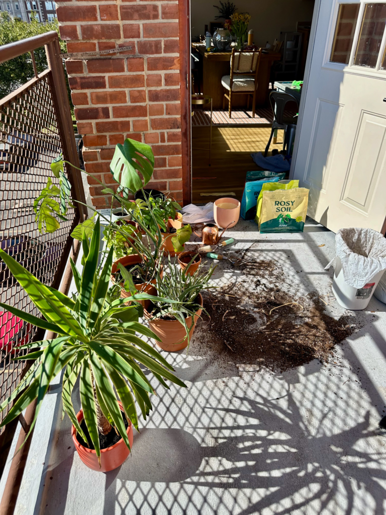 outdoor terrace